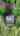 Blurred preview of media: 56OldMarlboroRoad_MLS_v2