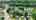 Blurred preview of media: 4ScarletCircle_MLS_v1
