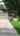 Blurred preview of media: Walk 12533