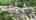 Blurred preview of media: NEW