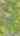 Blurred preview of media: 90FryeRoad_Branded_v1