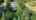 Blurred preview of media: 5020 SW Humphrey Blvd