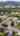 Blurred preview of media: 11713 SE Flavel St