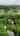 Blurred preview of media: 26260 Carrington Blvd.