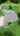 Blurred preview of media: 115 Pheasant Run, Argyle TX