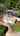 Blurred preview of media: copy_4698B39B-3B2A-41E1-B487-1ADC29D16F58