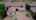 Blurred preview of media: 35017 N 25th Ln_Unbranded
