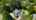 Blurred preview of media: 16969_nw_hazelgrove_ct_beaverton,_oregon_v1