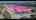 Blurred preview of media: 2631 Fiesta Dr, Venice FL