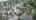 Blurred preview of media: Seattle 2201