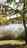 Blurred preview of media: UB