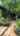 Blurred preview of media: 3138 NW Verde Vista Terr VERT