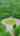 Blurred preview of media: 36CountryLane_MLs_v1