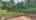 Blurred preview of media: 524