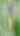 Blurred preview of media: 99StageRoad_MLS_v1
