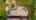 Blurred preview of media: 6710 Vail Ct