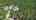 Blurred preview of media: Come on Over_unbranded