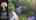 Blurred preview of media: 16AbelJonesPlace_Branded_v1