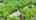Blurred preview of media: 77ParkhurstDriveUnit77_MLS_v2