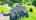 Blurred preview of media: 11CiderLane_MLS_v1