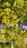 Blurred preview of media: 7929 social media