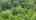 Blurred preview of media: 81VintonPondRoad_MLS_v2
