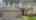 Blurred preview of media: 78 Vanguard Dr. Brooklin